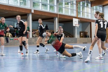 Bild 176 - wBJ HSG Kremperheide/Muensterdorf - HSG Joerl-Doppeleiche Vioel : Ergebnis: 34:23
